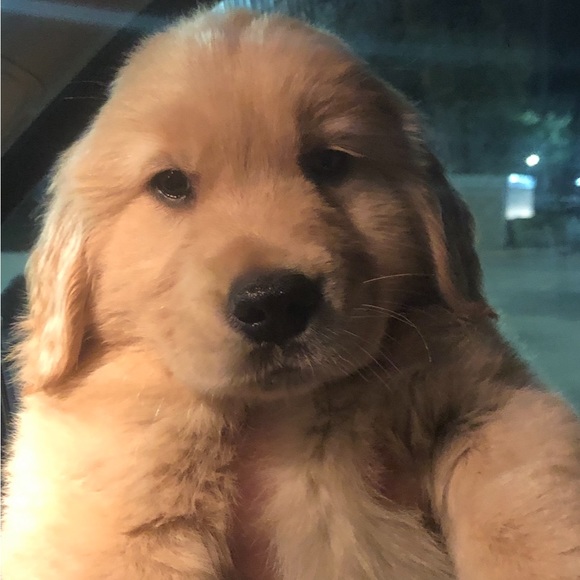 Meet Your Posher! - Picture 12 of 13